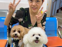 -成都民大动物医院