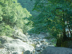 -湖州龙王山景区
