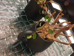 -无锡日航饭店