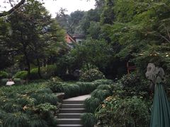 -十八棵（老龙井）御茶园(老龙井店)
