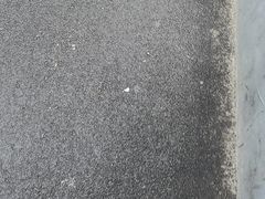 -O记东北砂锅麻辣烫