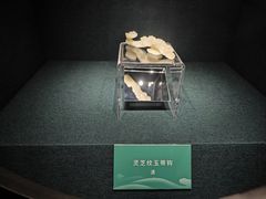 -嘉定博物馆