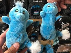 -怀托摩萤火虫洞