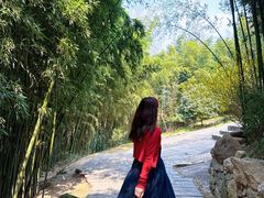 -沂蒙云瀑洞天景区