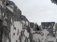 -大炮台