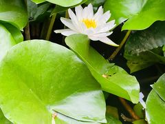 -石家庄市植物园