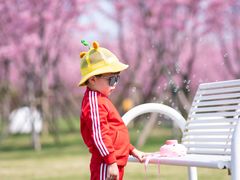 -福建鲤鱼洲酒店