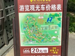 -合肥野生动物园