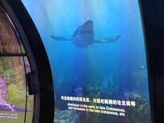 -房山世界地质公园博物馆