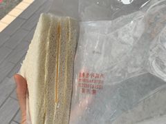 -洪瑞珍三明治(忠孝店)