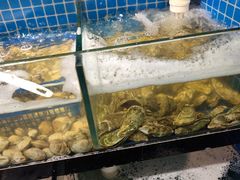-蛙太牛牛肉海鲜自助火锅(台江万达店)