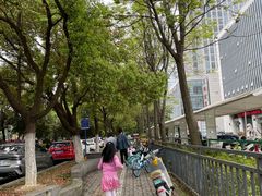 -同庆楼(天鹅酒家店)