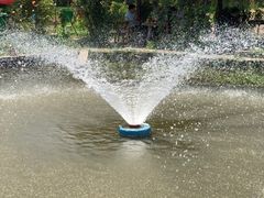 -同銮特种养殖场·龙虾垂钓