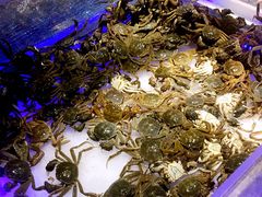 -圣罗巴海鲜烤肉自助(鲅鱼圈万达店)