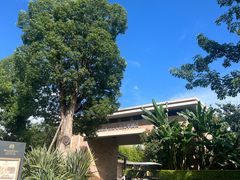 -抚仙湖万达文华酒店