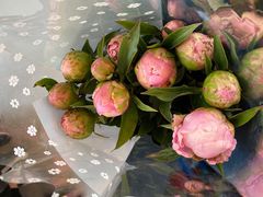 -金陵花卉交易市场