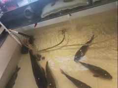 -咱屯子铁锅炖直营店(保利店)