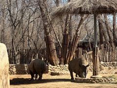 -北京野生动物园