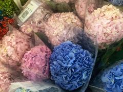 -昆明国际花卉拍卖交易中心