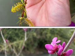 -韩湘水博园