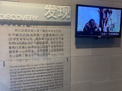 -北京周口店北京人遗址博物馆