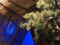 -渔乡米香·剁椒鱼头(四方坪店)