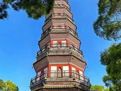 -顺峰山公园