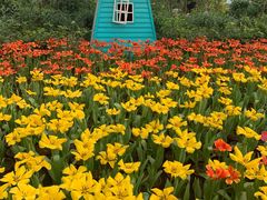 -南宫五洲植物乐园