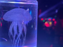 -MOSSO音乐酒吧·live house(南京旗舰店)