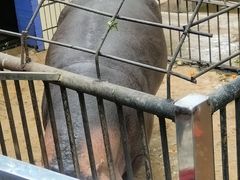 -昆明动物园