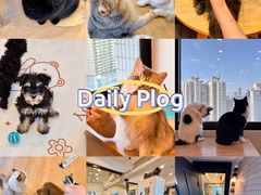 -有喵·猫咖·狗咖·30几只猫10只小狗(岗厦店)