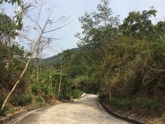 -七仙岭温泉国家森林公园