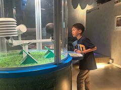 -香港科学馆