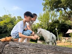 -HERRE·FARM 赫尔露营农场·团建聚会包场