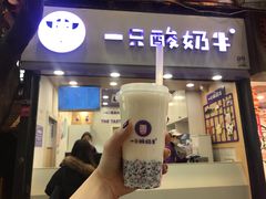 门面-一只酸奶牛(八一路店)