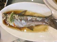 -锦江中华村农家乐饭庄