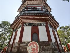 -顺峰山公园