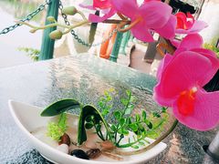 -茵特拉根酒店·西餐厅