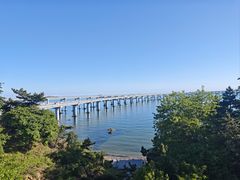 -星海湾跨海大桥