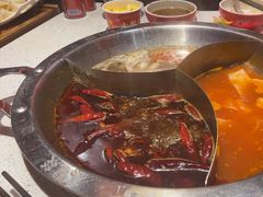 -大龙燚·旷野鲜火锅(广州首店)