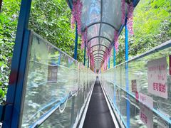 -七仙岭温泉国家森林公园