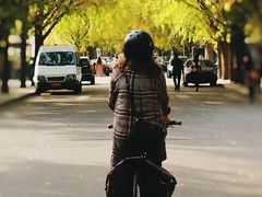 -三里屯东五街银杏大道