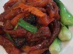 红烧蹄筋-玉林烤鸭店(定福庄店)