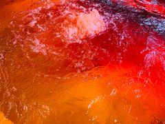 -春晖园度假酒店温泉