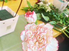 -森野花艺培训·企业团建活动沙龙