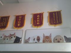 -爱侣宠医·鹦鹉专科·小型哺乳类·异宠专科(灵石路店)