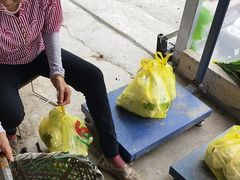 -马陆小张葡萄园农家乐