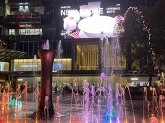 -合景·悠方(成都店)