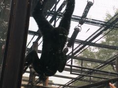 -石家庄市动物园