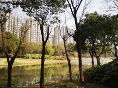 -南翔镇银翔湖公园